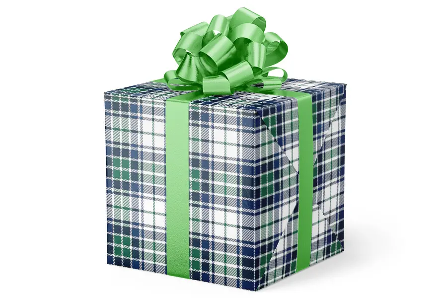 24W x 417 ft, Everyday Wrapping Paper, Blue/Green Plaid